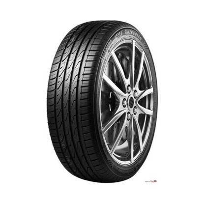 Foto pneumatico: AUTOGREEN, SUPER SPORT CHASER SSC5 205/55 R17 95W Estive