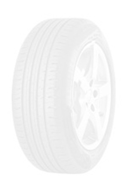 Foto pneumatico: BRIDGESTONE, LS100A * RFT XL 225/40 R19 93H Estive