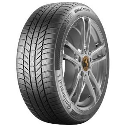 Foto pneumatico: CONTINENTAL, WINTERCONTACT TS 870 P 275/45 R21 110W Invernali