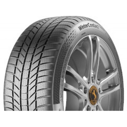 Foto pneumatico: CONTINENTAL, WinterContact TS 870 P 215/50 R17 95V Invernali