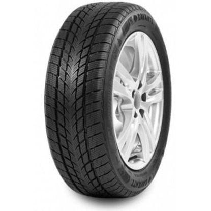 Foto pneumatico: DAVANTI, WINTOURA 205/55 R16 91T Invernali