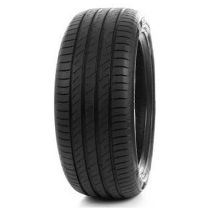 Foto pneumatico: DELINTE, DS2 XL 215/65 R16 102H Estive