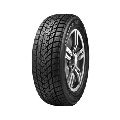 Foto pneumatico: DELINTE, WD1 195/55 R15 85H Invernali