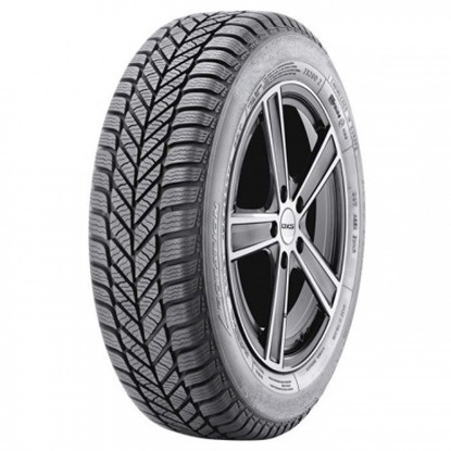 Foto pneumatico: DIPLOMAT, DIPLOMAT WINTER ST 205/65 R15 94T Invernali