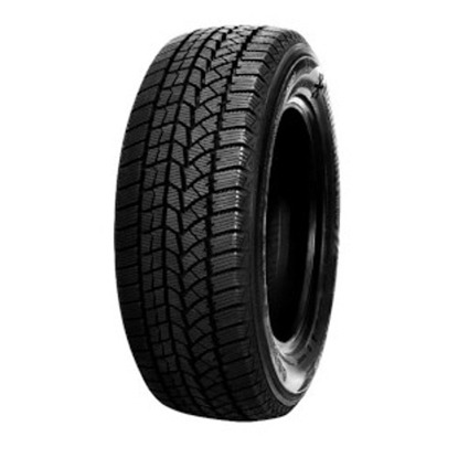 Foto pneumatico: DOUBLESTAR, DW02 255/45 R20 105T Invernali