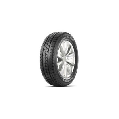 Foto pneumatico: FALKEN, EUROALLSEASON VAN11 225/55 R17 109T Quattro-stagioni