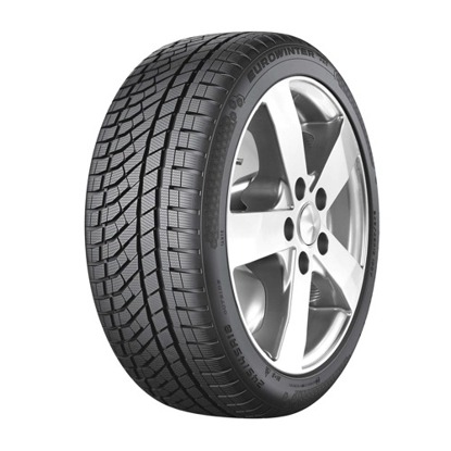 Foto pneumatico: FALKEN, EUROWINTER HS02 PRO 225/40 R19 93V Invernali