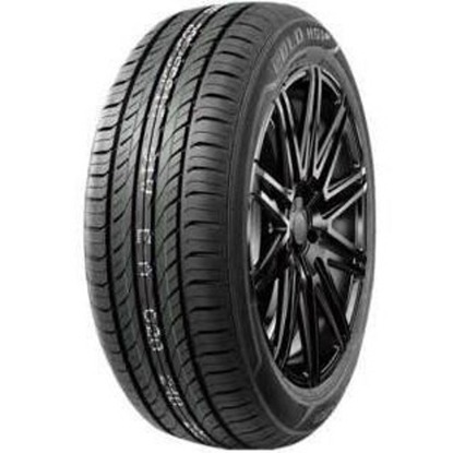 Foto pneumatico: FRONWAY, ECOGREEN 66 225/55 R16 95V Estive