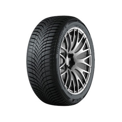 Foto pneumatico: GITI, GITIWINTER W2 205/45 R17 88V Invernali