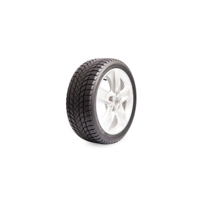 Foto pneumatico: LANDSAIL, WINTER LANDER NORDIC 195/55 R16 87H Invernali