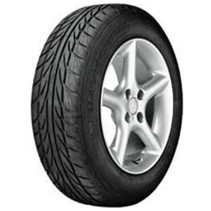 Foto pneumatico: MASTERSTEEL, PROSPORT 2 XL 195/55 R16 91W Estive