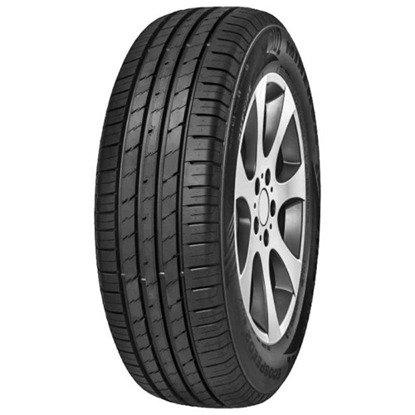 Foto pneumatico: MINERVA, ECOSPEED 2 SUV 225/65 R17 102H Estive