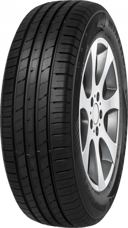 Foto pneumatico: MINERVA, ECOSPEED 2 SUV XL 295/40 R21 111Y Estive