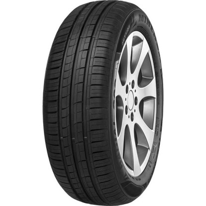 Foto pneumatico: MINERVA, 209 155/60 R15 74T Estive