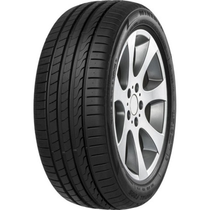 Foto pneumatico: MINERVA, F105 195/45 R17 85W Estive