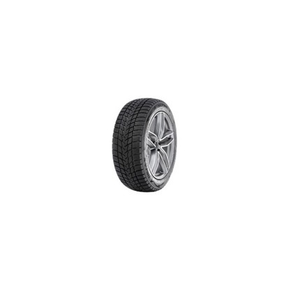 Foto pneumatico: RADAR, DIMAX ALPINE 205/55 R16 91H Invernali