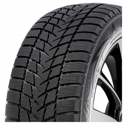 Foto pneumatico: RADAR, DIMAX ALPINE XL 195/65 R15 95H Invernali