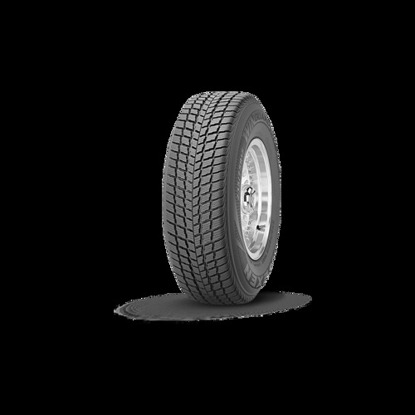 Foto pneumatico: ROADSTONE, WINGUARD SUV 225/65 R17 102H Invernali