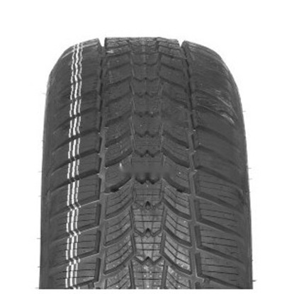 Foto pneumatico: SAVA, ESKIMO HP 2 215/55 R16 93H Invernali