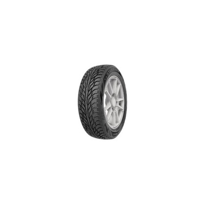 Foto pneumatico: STARMAXX, W860 195/65 R15 91T Invernali