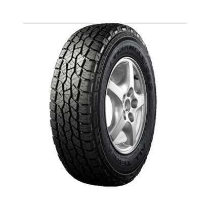 Foto pneumatico: TRIANGLE, TR 292 225/75 R16 108Q Estive