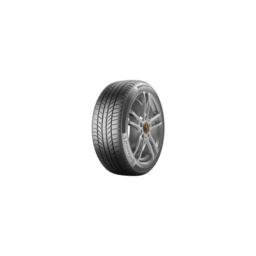 Foto pneumatico: CONTINENTAL, WinterContact TS 870 P 205/60 R17 93H Invernali