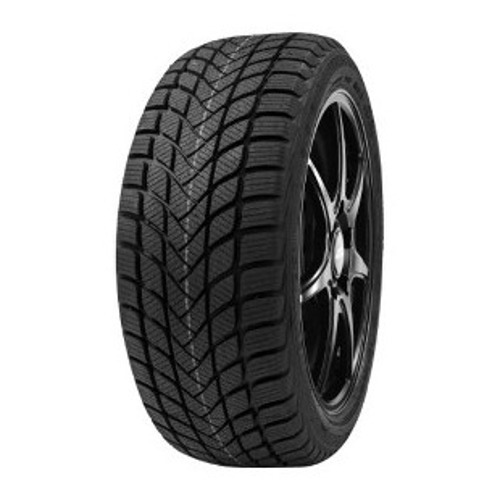 Foto pneumatico: DELINTE, WD 6 205/50 R17 93H Invernali