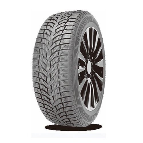 Foto pneumatico: DOUBLESTAR, DW08 195/55 R16 87H Invernali