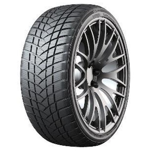 Foto pneumatico: GTRADIAL, WINTERPRO2 SPORT 205/50 R17 93V Invernali