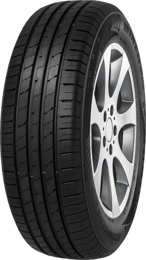 Foto pneumatico: MINERVA, EcoSpeed 2 295/40 R21 111Y Estive