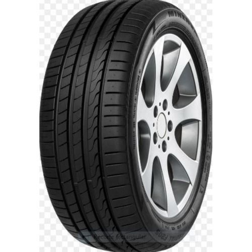 Foto pneumatico: MINERVA, F205 215/45 R18 93Y Estive