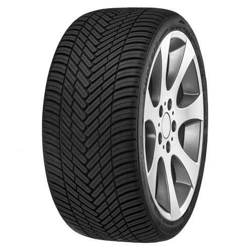 Foto pneumatico: SUPERIA, ECOBLUE 2 4S XL 195/55 R16 91V Quattro-stagioni