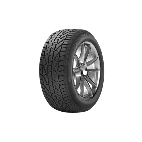 Foto pneumatico: TAURUS, 601 WINTER 195/55 R16 87H Invernali