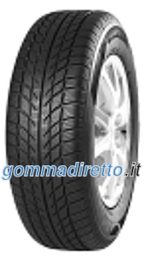 Foto pneumatico: TRAZANO, sw608 205/55 R16 91H Invernali