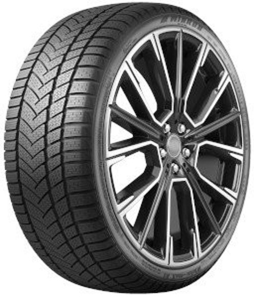 Foto pneumatico: WINRUN, WINTER-MAX A1 WR22 205/55 R16 91H Invernali